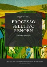 texto processo seletivo renoen